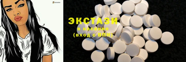 соль ск Каменка