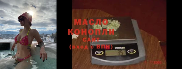 соль ск Каменка