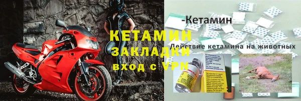 соль ск Каменка