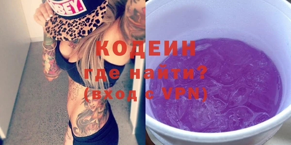 соль ск Каменка
