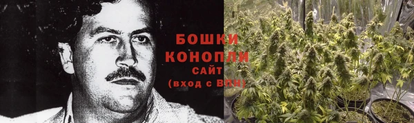 не бодяженный Каменногорск